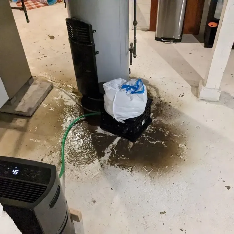 Sewage Backup Cleanup Service in Tonasket, WA